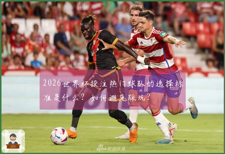 2026世界杯投注热门球队的选择标准是什么？如何避免踩坑？