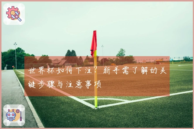 世界杯如何下注？新手需了解的关键步骤与注意事项
