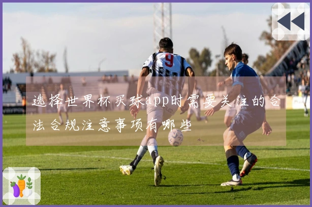 选择世界杯买球app时需要关注的合法合规注意事项有哪些