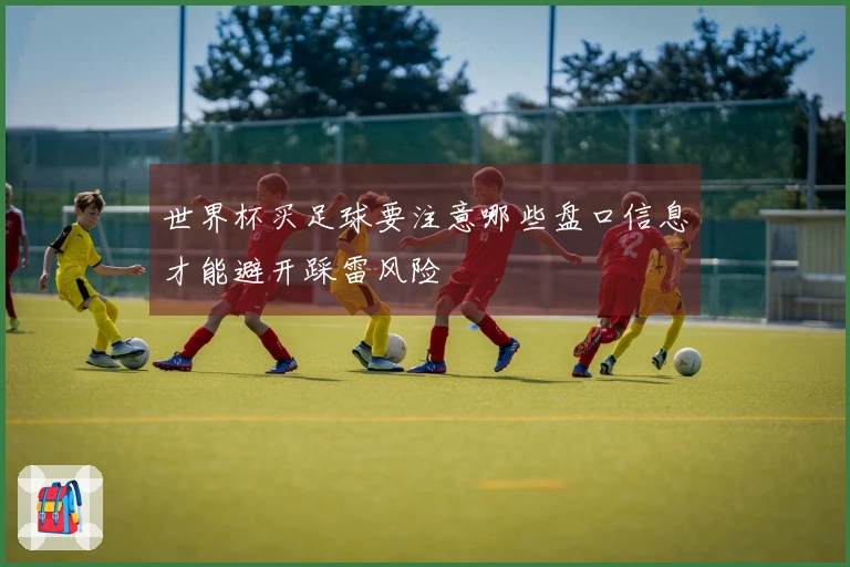 世界杯买足球要注意哪些盘口信息才能避开踩雷风险