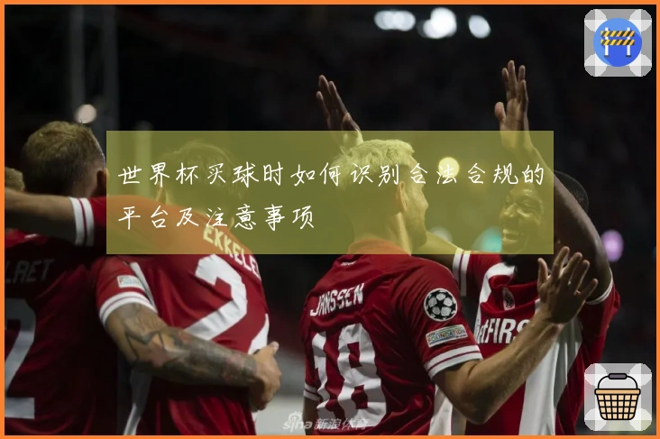 世界杯买球时如何识别合法合规的平台及注意事项